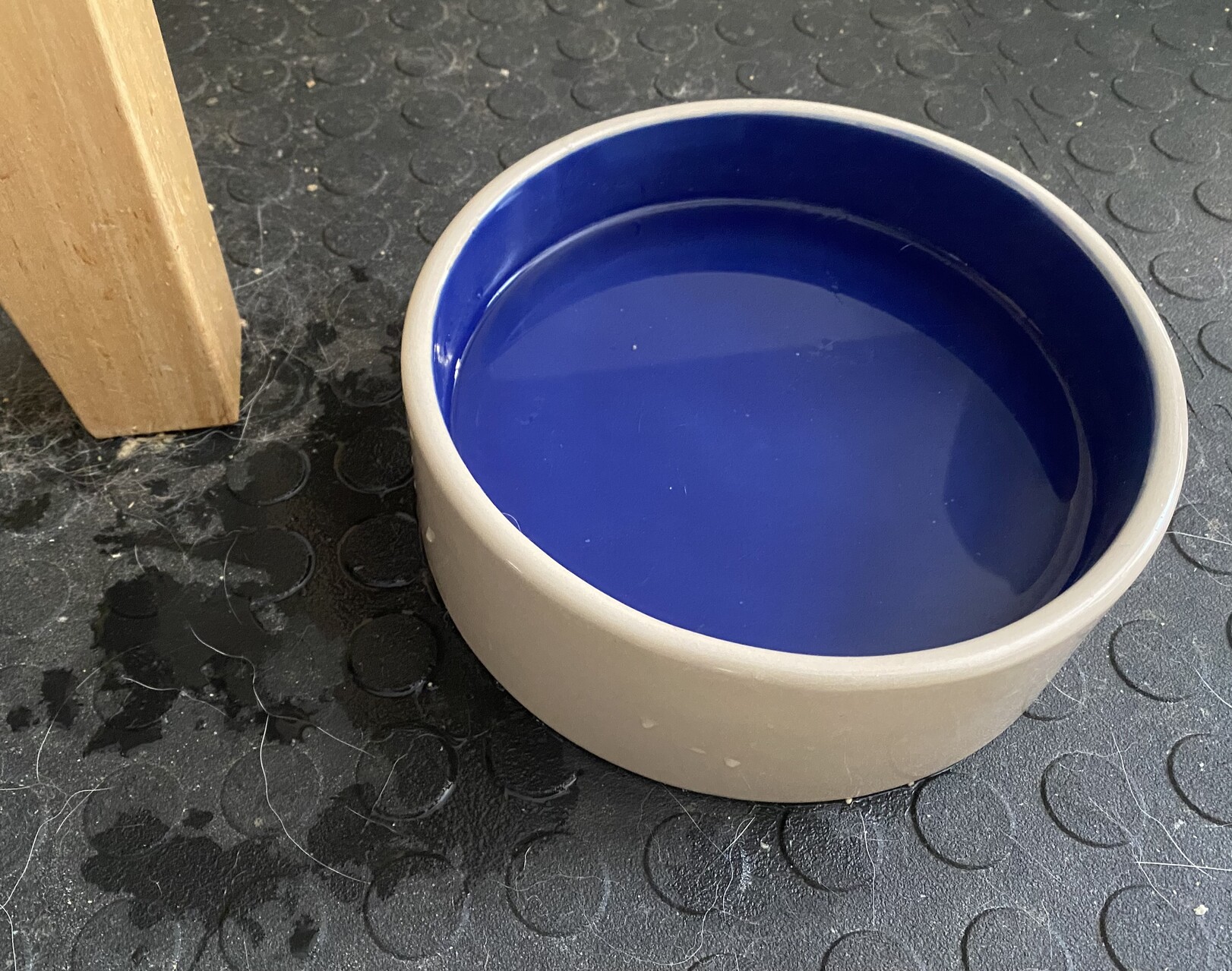 a photo of my cats water dish with water splashed out on the floor around it