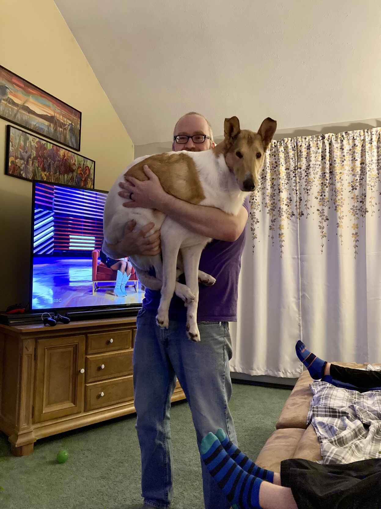 a photo of me carrying my 69lb smooth collie dog 
