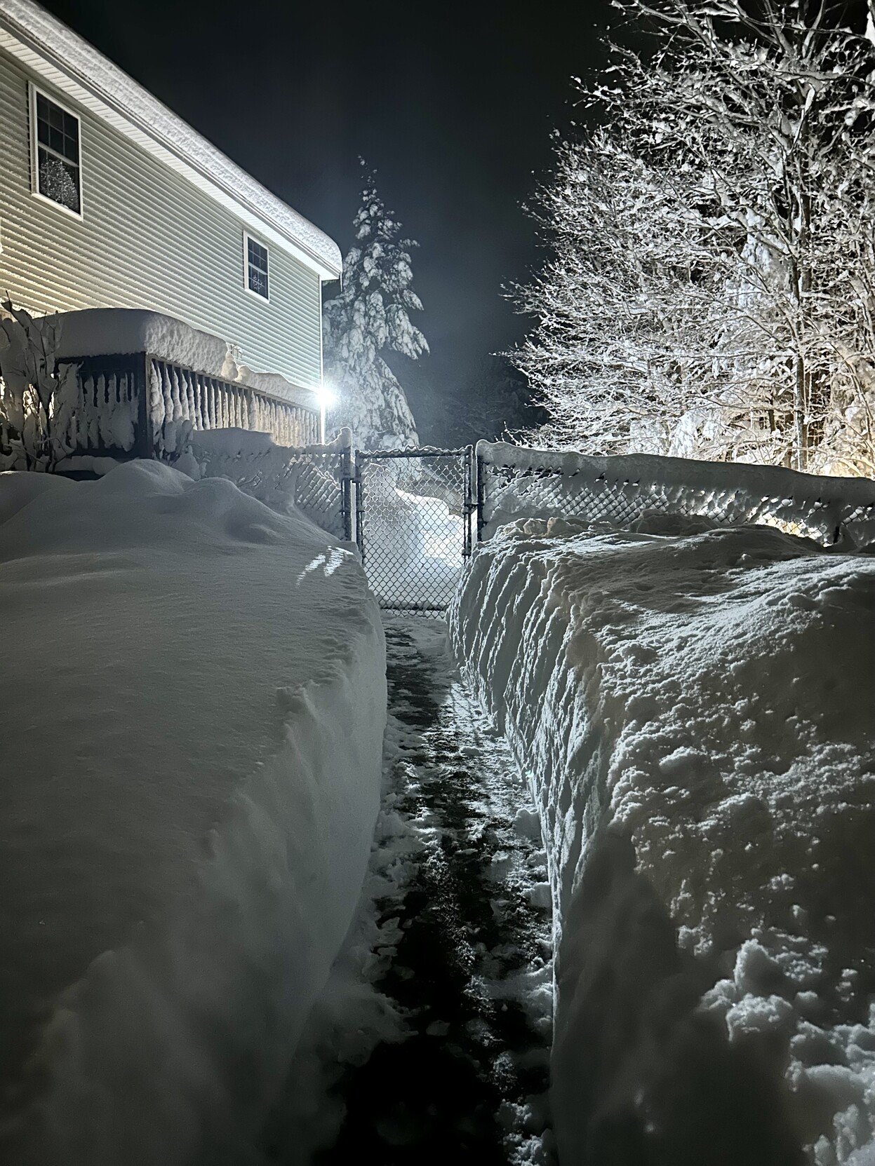 a photo of the path shoveled to the gate into the backyard of my house. 