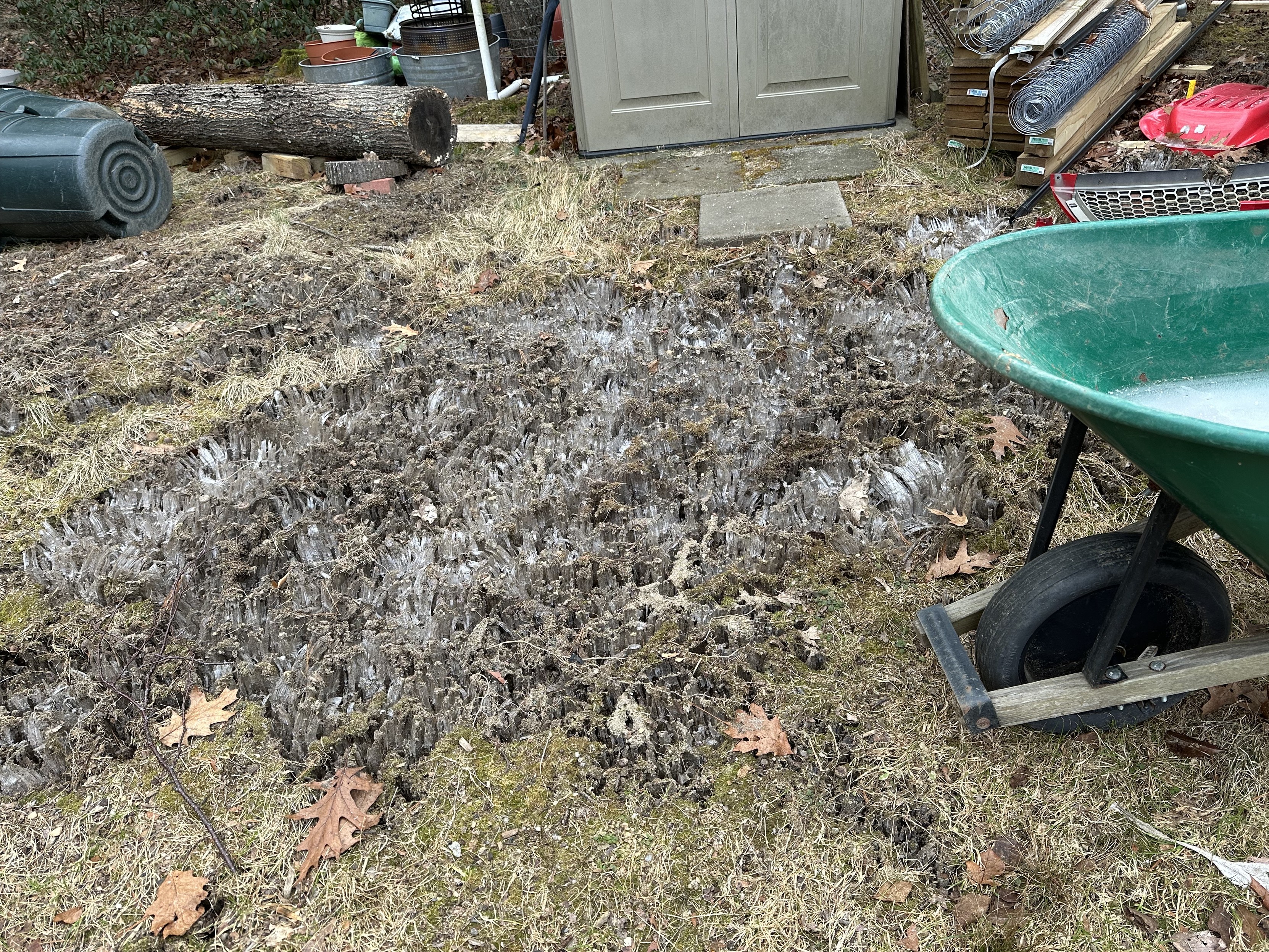 a photo of an enormous area of needle ice in my yard