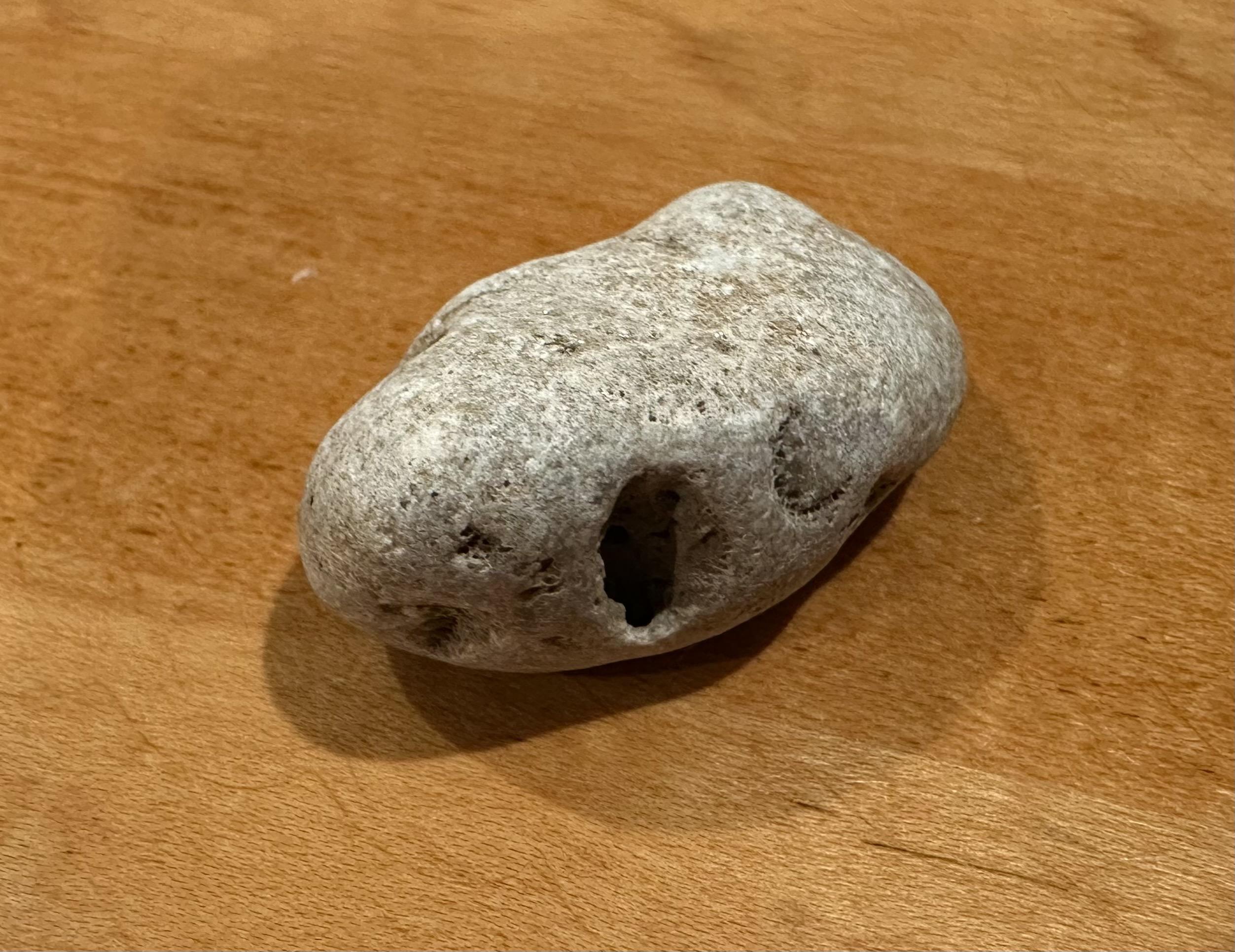 a photo of a rock with holes eroded in it