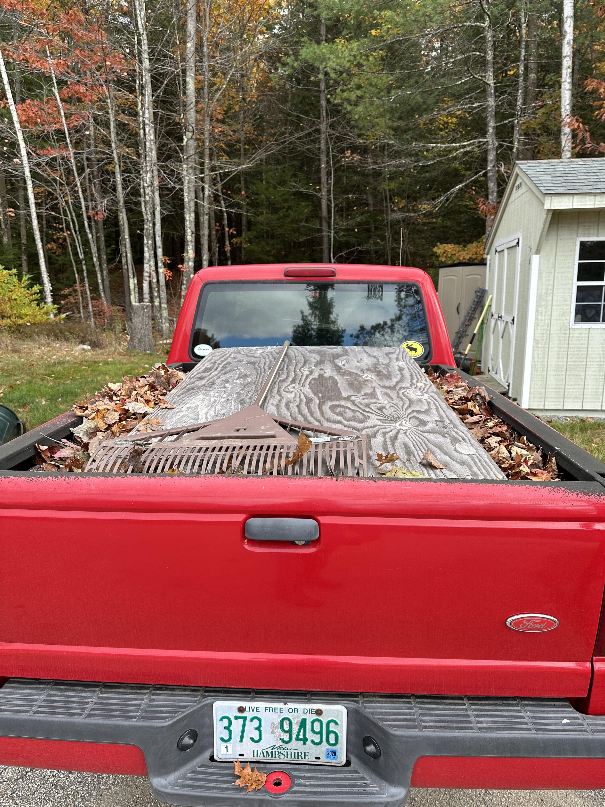 a photo of a pickup truck with a bed full of leaves, and now there is a piece of old plywood on top holding them down, and a rake on top of the plywood.