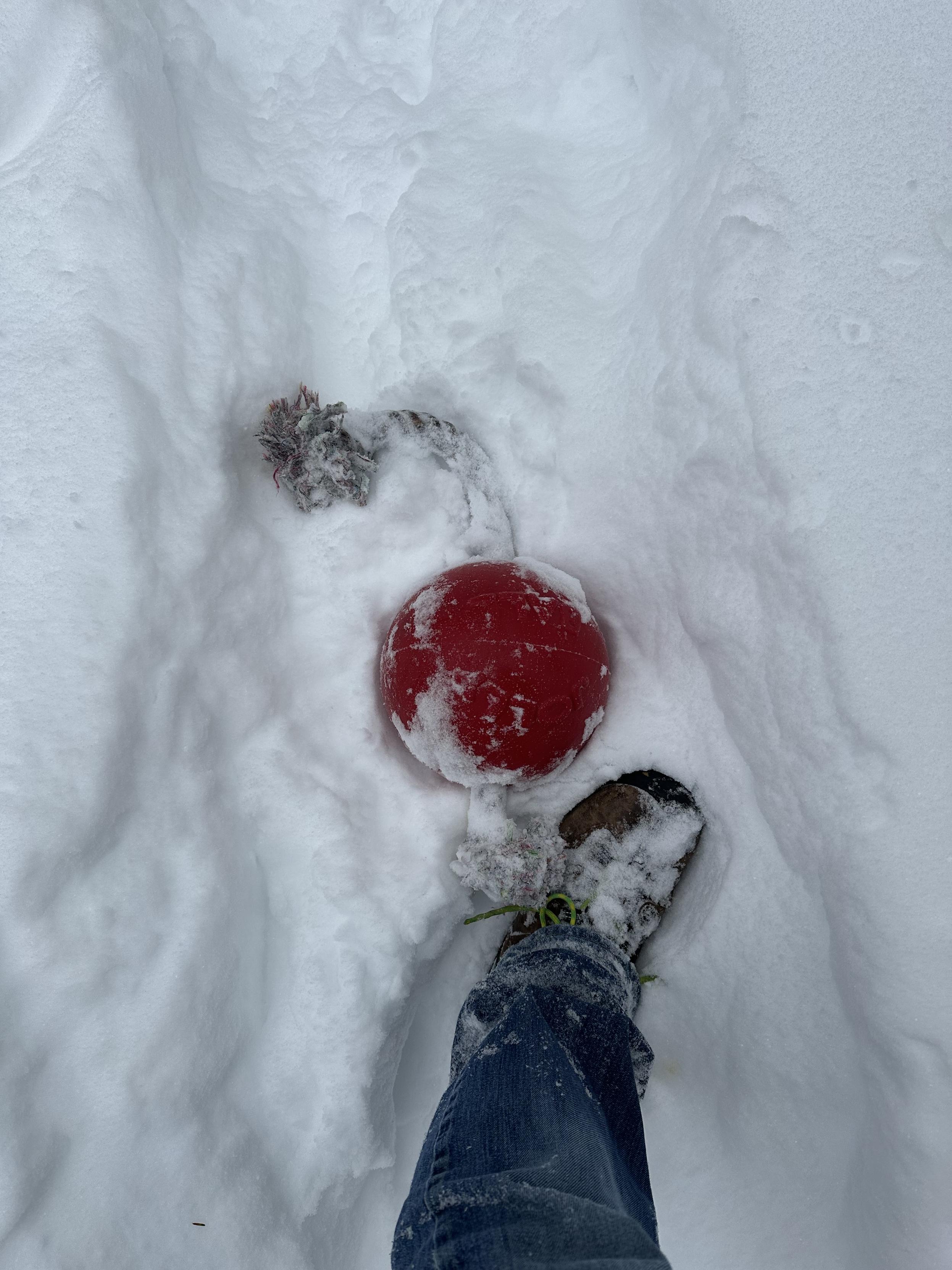 a photo of a dog toy comprised of a large red ball with a piece of rope through it, next to my size 9.5 boot. the ball is about the size of a volleyball.