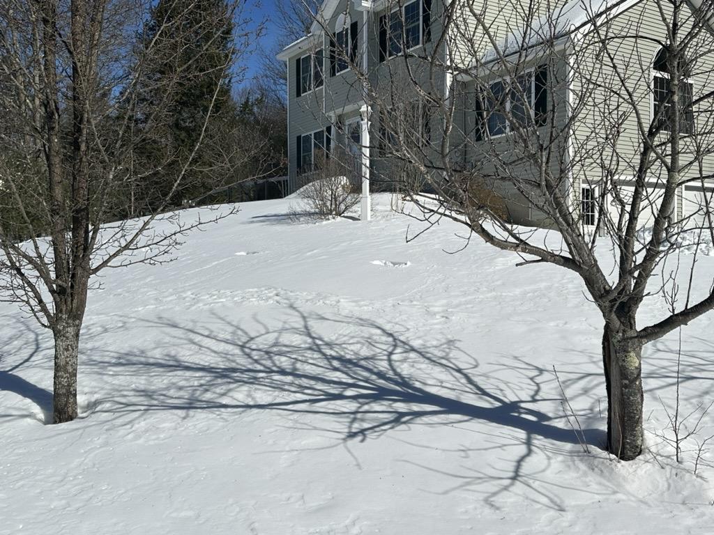 a photo of my front yard with tracks from a deer running