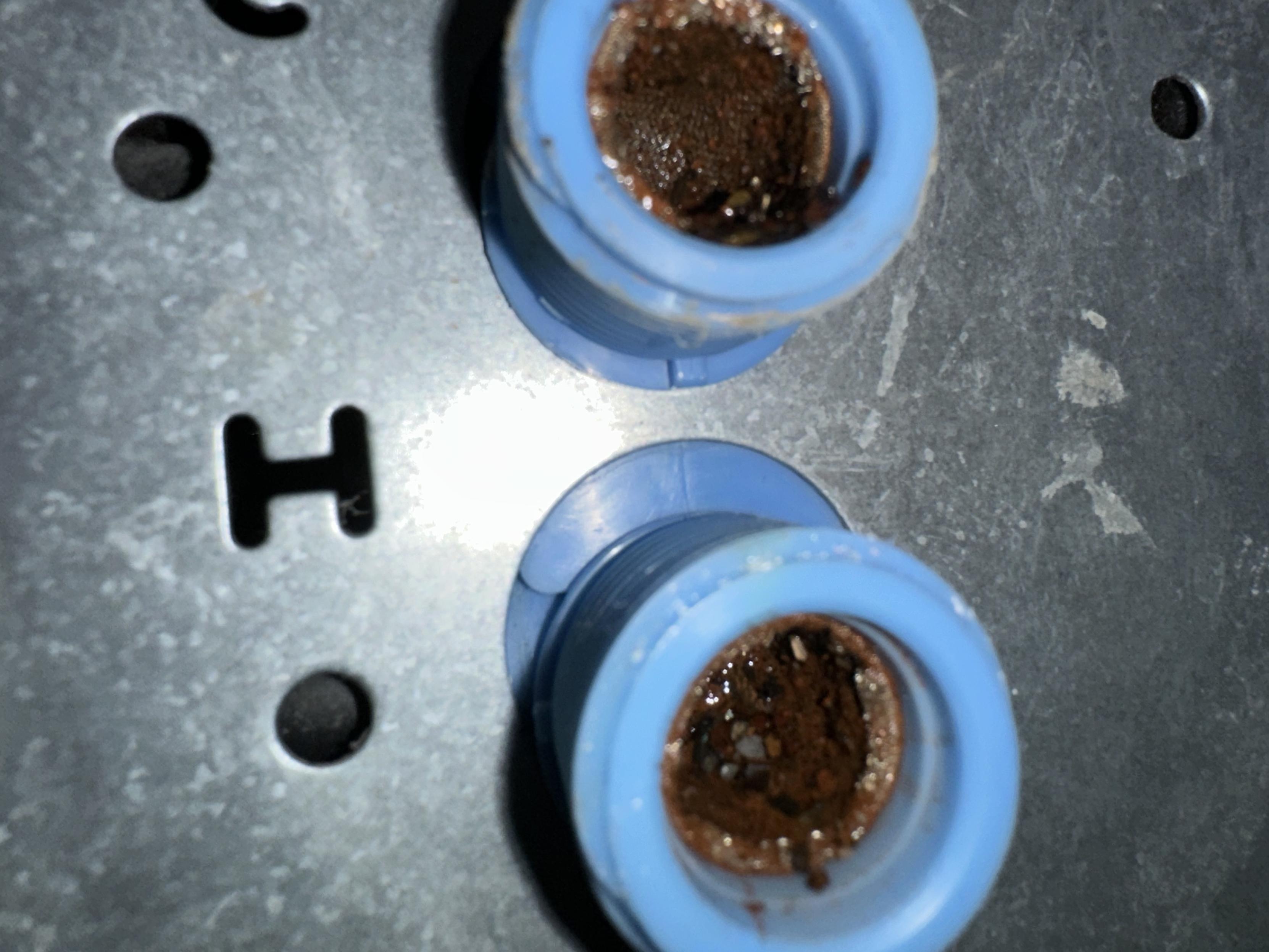 a photo of the hot and cold inlets on our washing machine, plugged up with silt