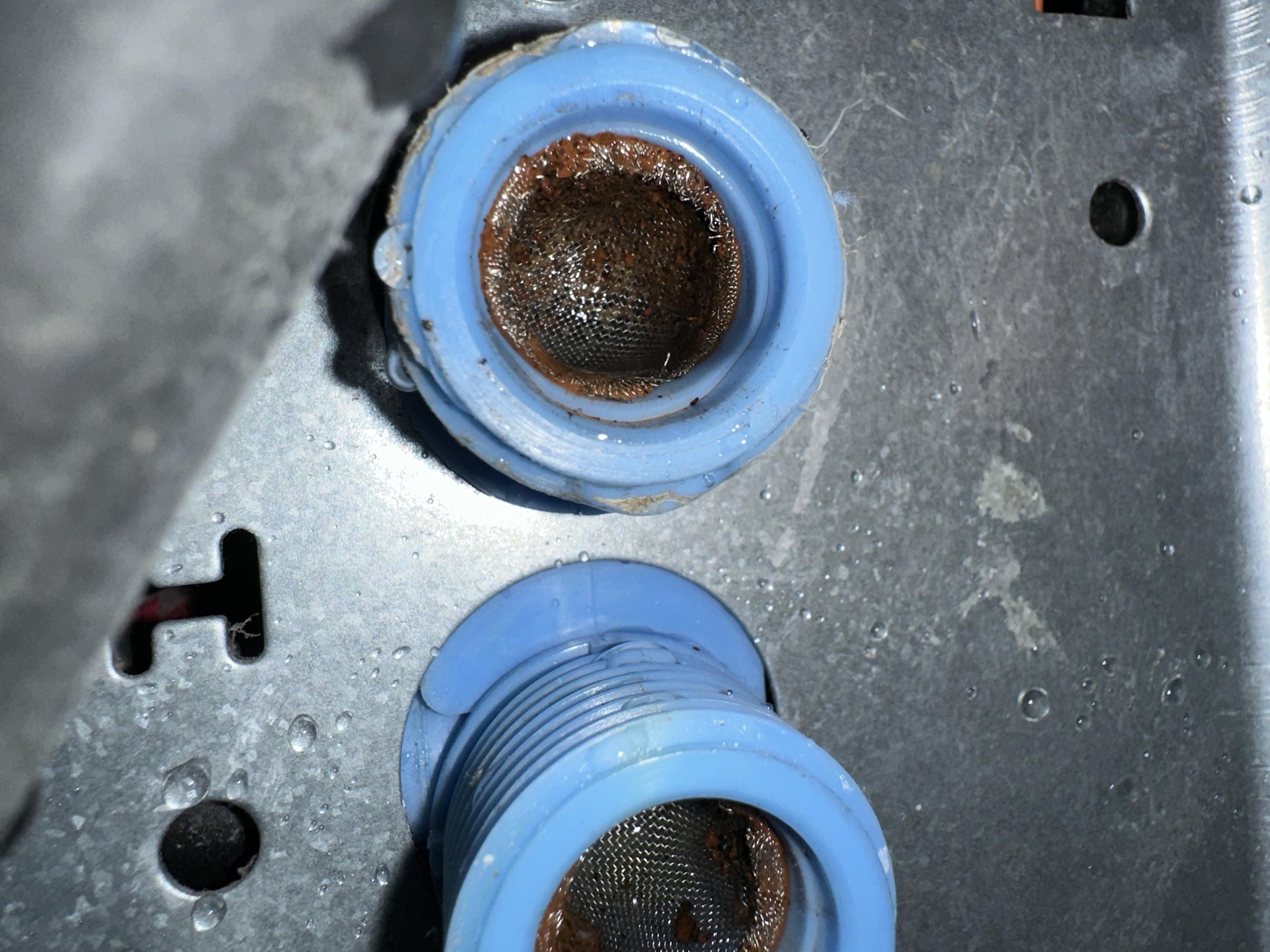 a photo of the hot and cold inlet of our washing machine after i sorta cleaned them.