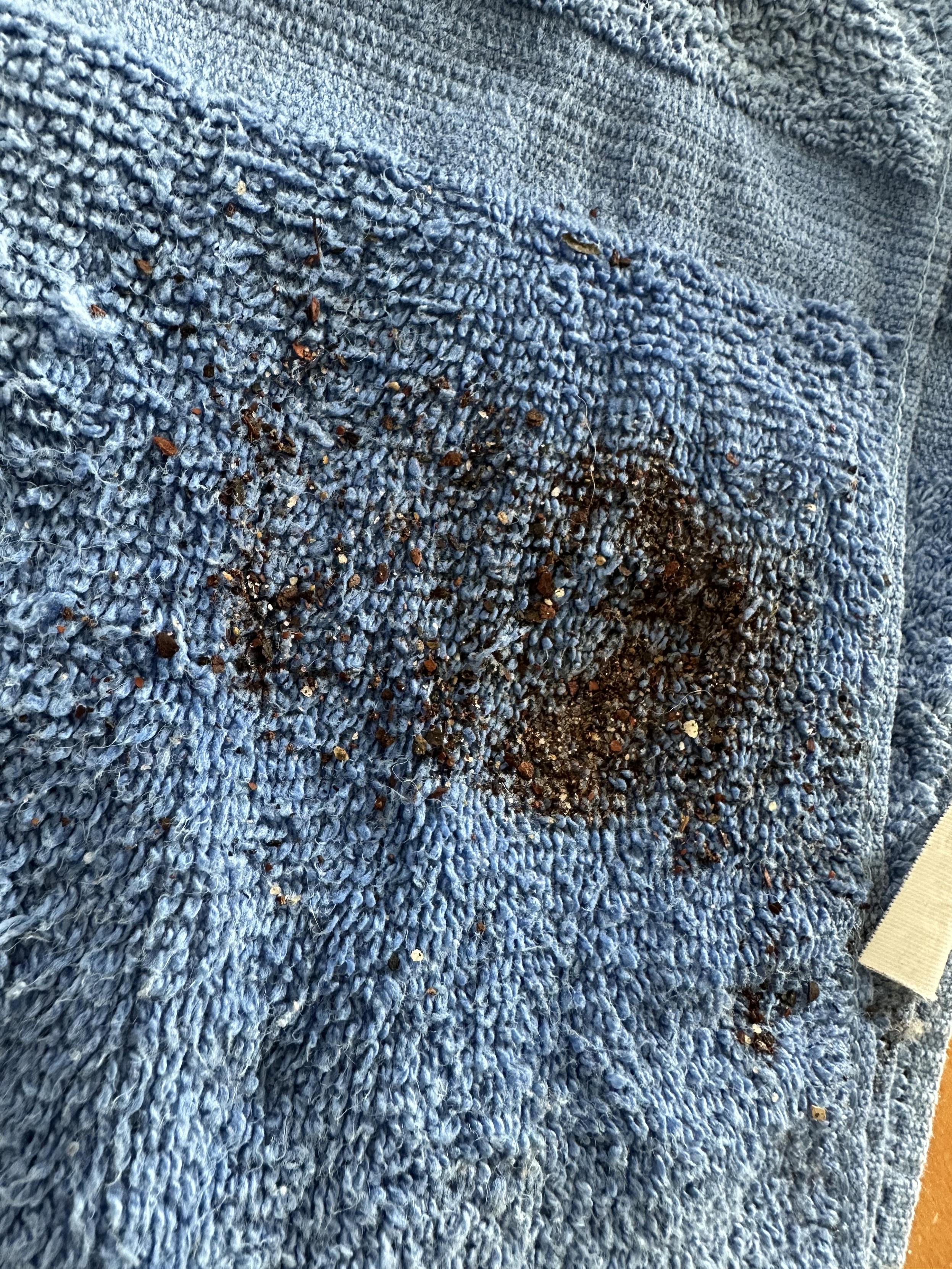 a photo of an old towel now covered in the silt from the inlets