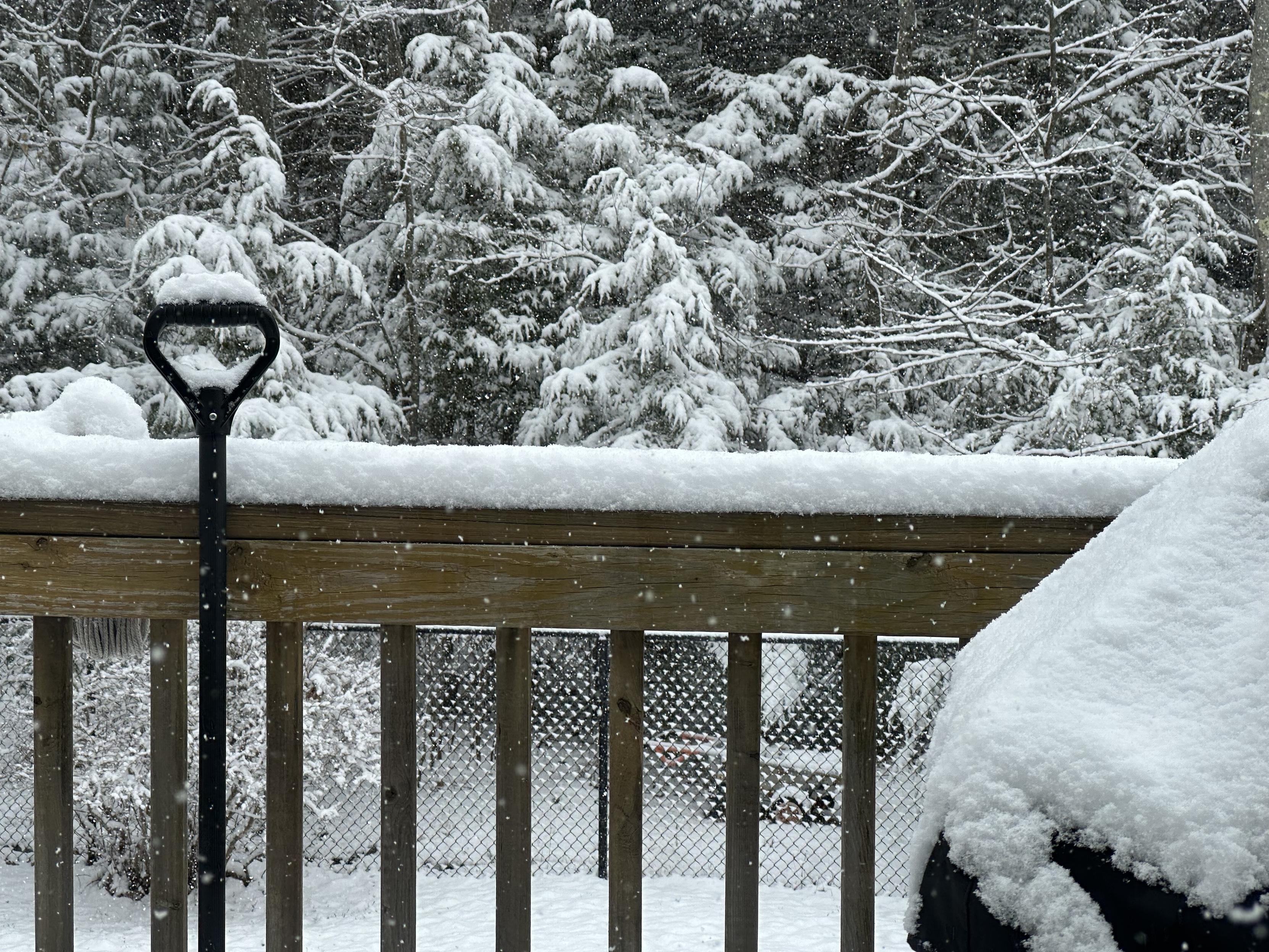 a photo of the snow on the railing of my deck looks like 2.5” so far. 