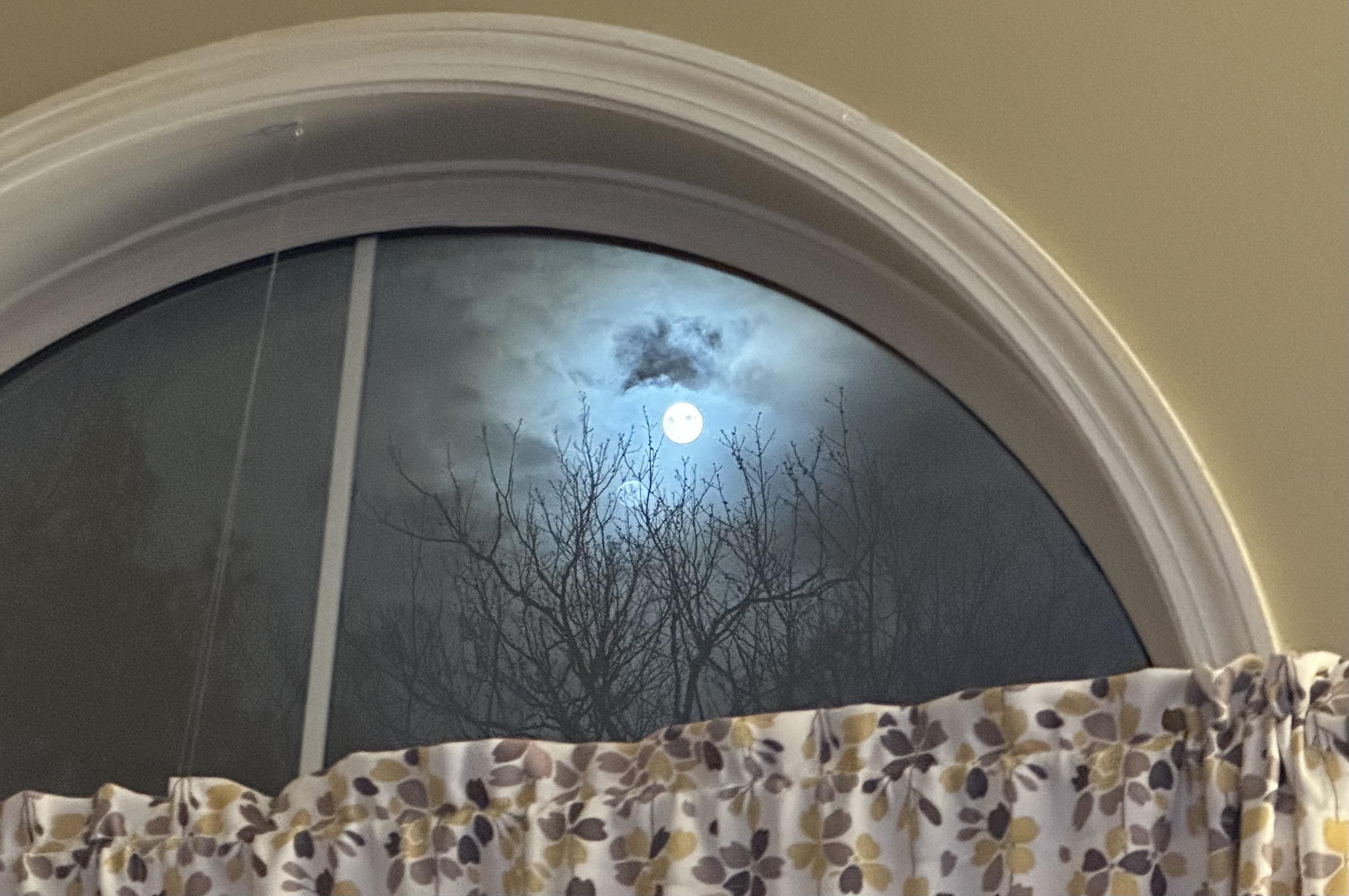 a photo of the moon outside my windows with wispy clouds blowing in front and some trees in the foreground 