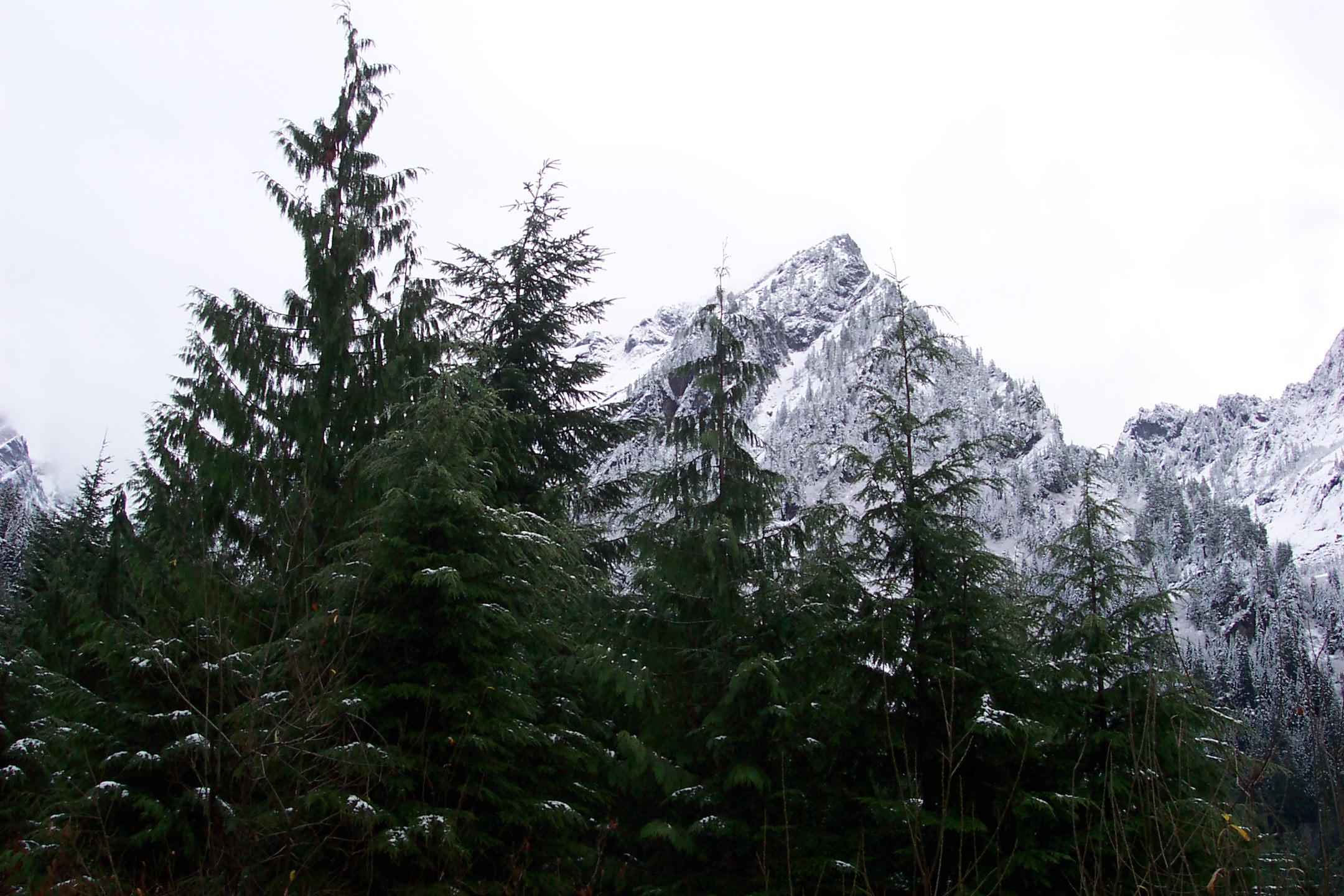 a photo of a snowy mountain